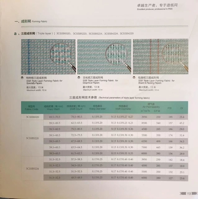 ISO 9001 2000 Certified Forming Fabric for Special and Graphical Paper Production